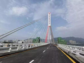 太原南中环大桥跳桥事件多方联动与社会反思