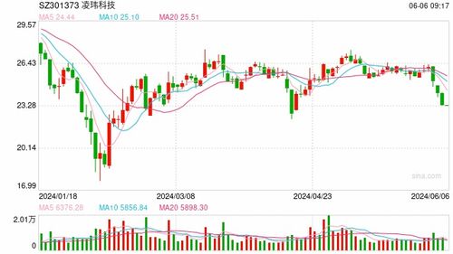 凌雄租赁公司怎么样