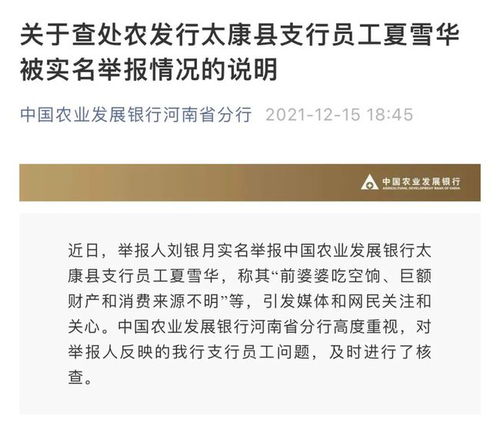 湖北分行农发行对前公公巨额财产来源不明展开调查