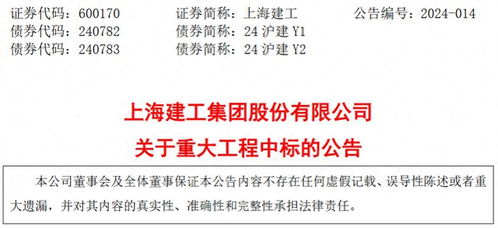 民生信托公司遭遇强制执行深度解析背后的法律与经济影响