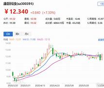 正康国际股价早盘大跌市场波动背后的深层原因分析