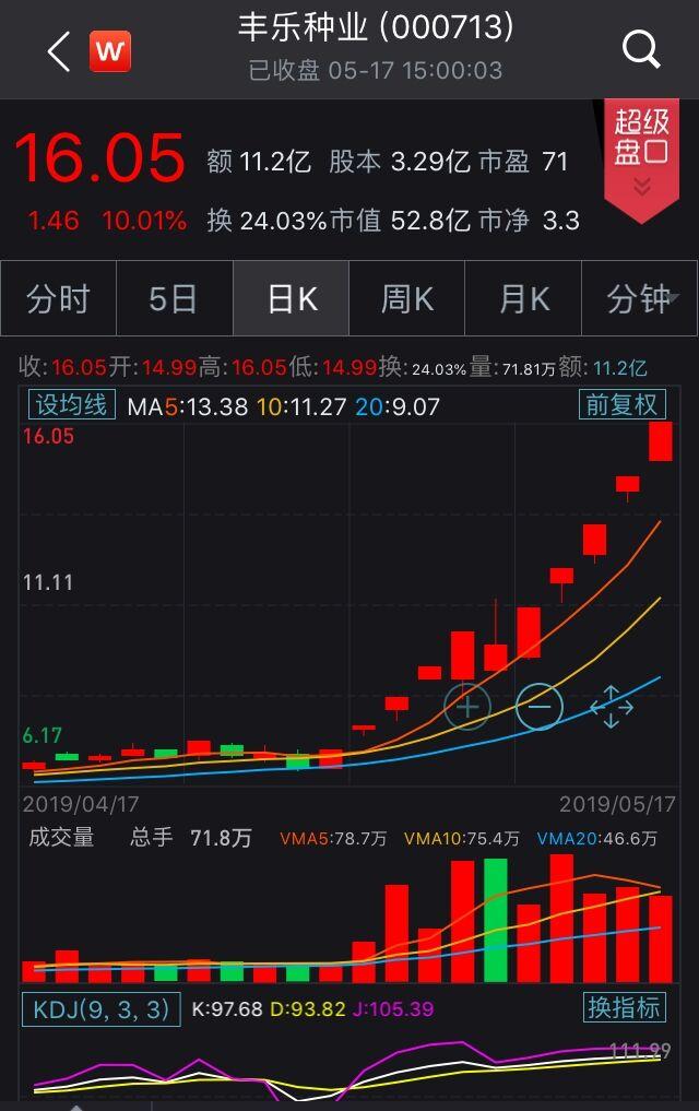 马棕油概念股
