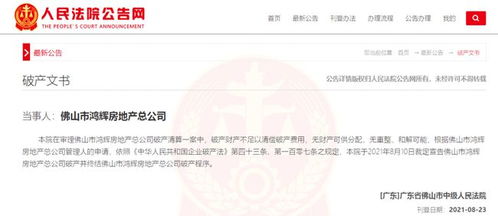 柔宇科技破产清算案深圳中级法院的受理与管理人的指定