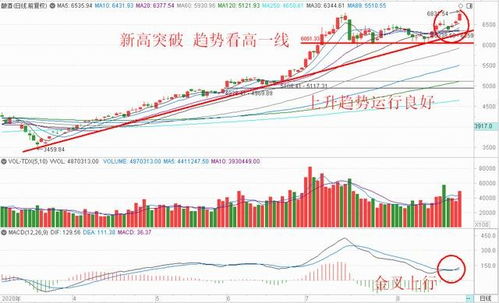 近期连续只新股上市大涨，影响港股走势的关键是什么？
