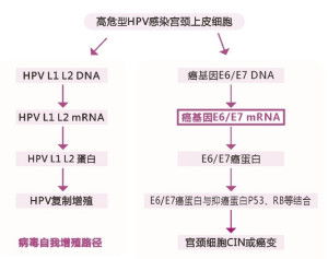 金生游乐股价异动深度分析与市场反应