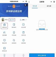 巴安再遭证监会立案投资者索赔风波再起