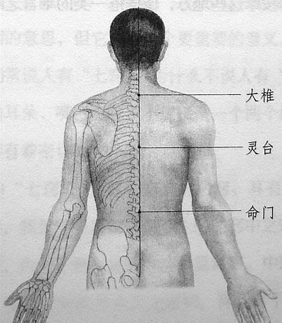 美瑞集团股票