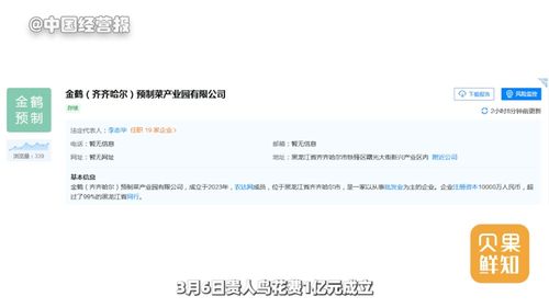 子公司被申请破产重整棒杰股份跨界冒险付出代价