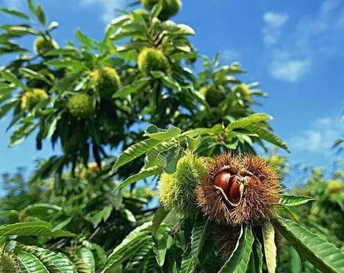 优利系统盘中异动股价大涨%报美元