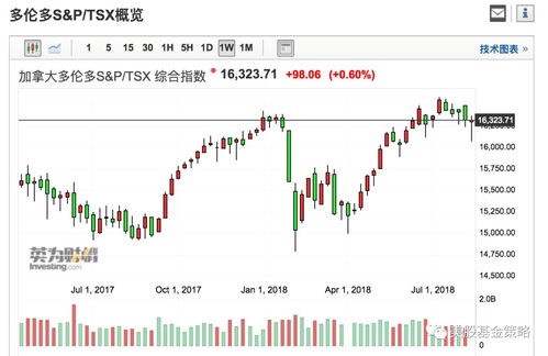 美国长线基金富达国际第二季度建仓震坤行