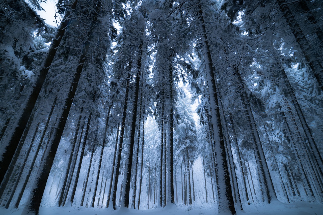 漠河初雪，中国最北城市的冬日序曲
