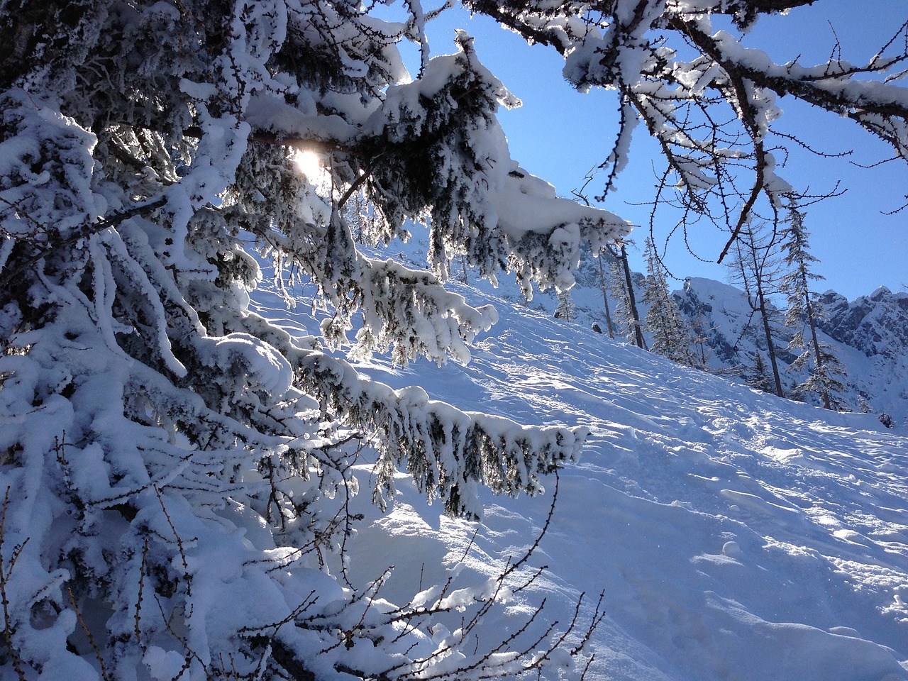 揭秘滑雪界的奢华殿堂，探索Skii官方网站的深度解析
