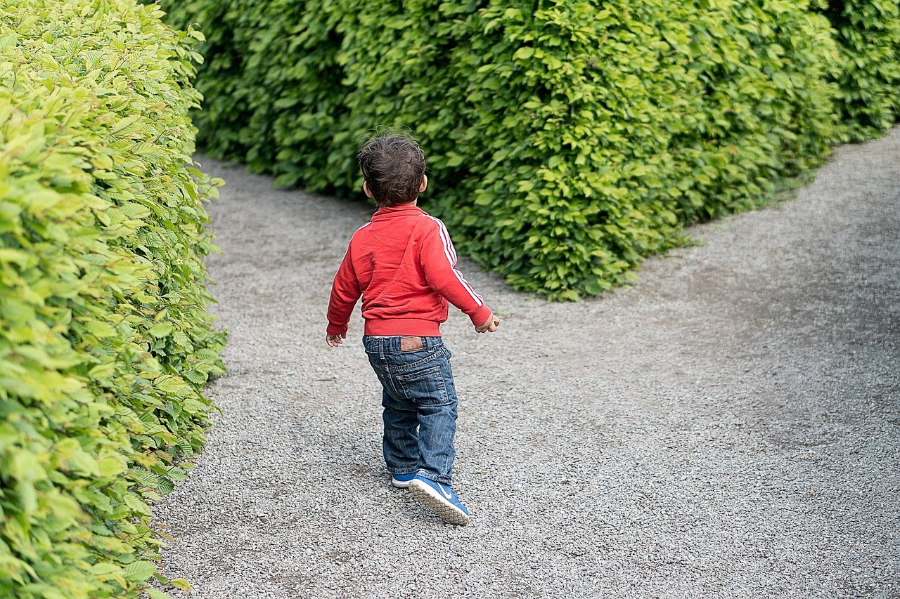 医生回应男孩错食滴水观音，普及植物知识的重要性