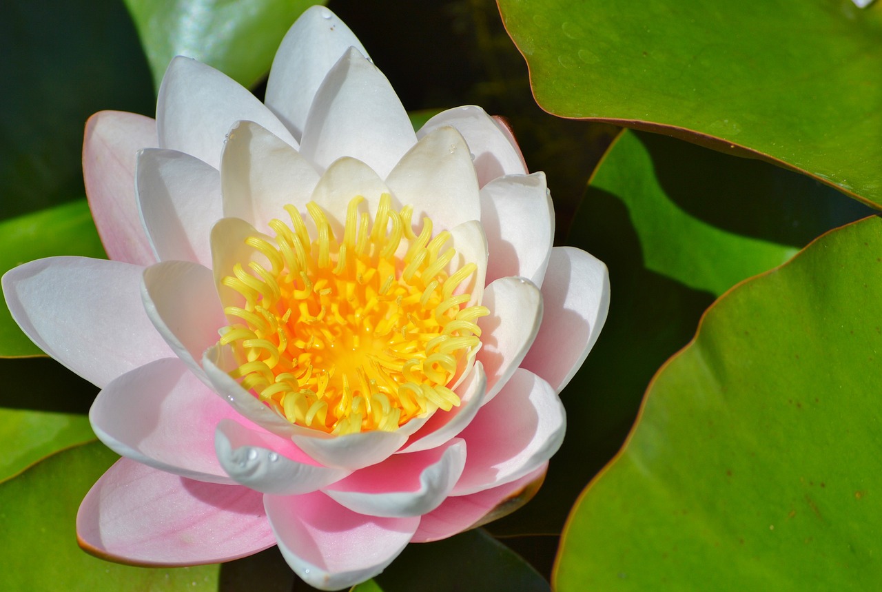 三年花十二万获博士学位，价值与现实之辨