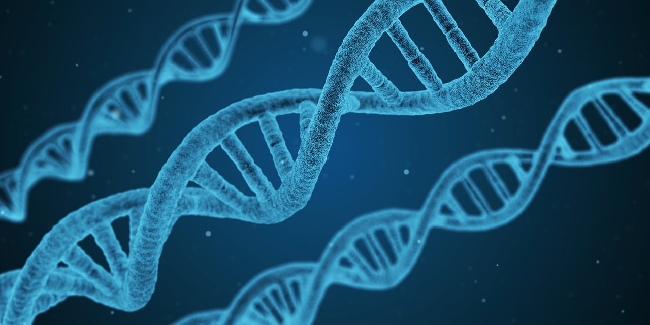 全方位揭秘，科学防护，守护健康——全面解析如何有效预防传染病