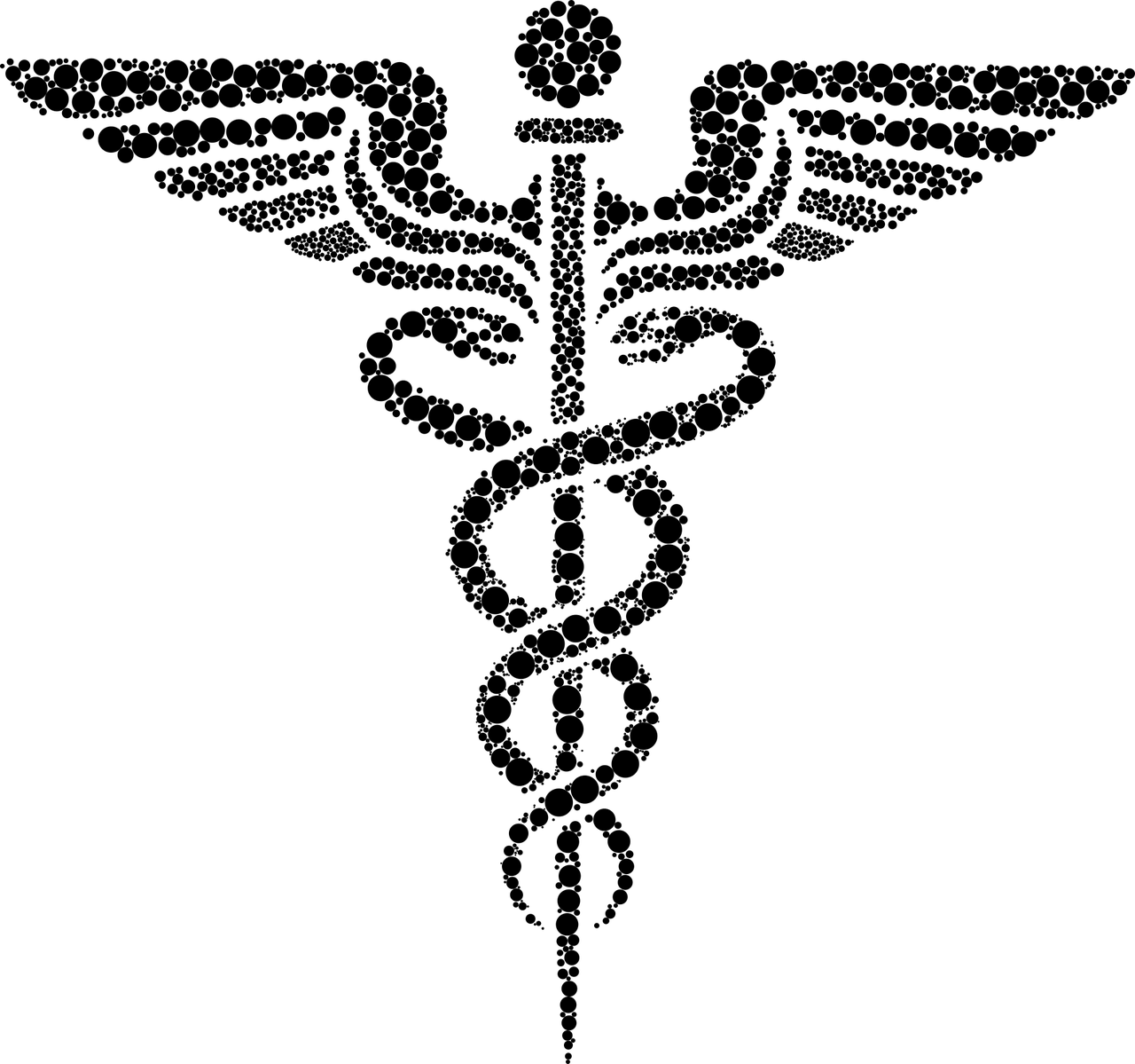揭秘蛇界，一张图带你认识全球蛇类大家族