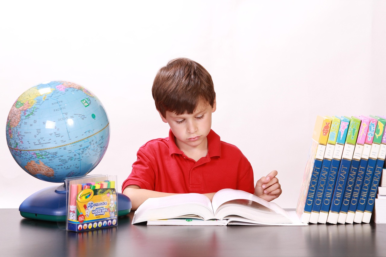 探索幼儿世界的奥秘，幼儿百科知识点全解析