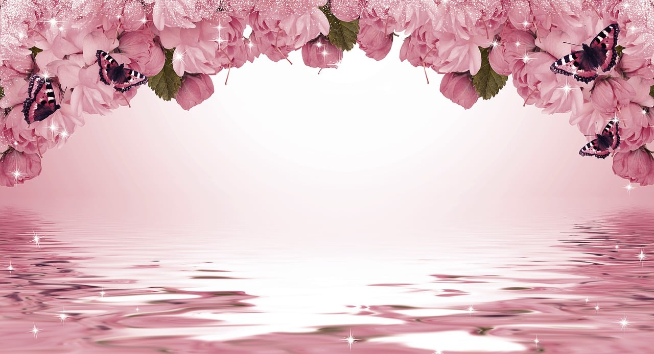 花语解码，揭秘各种花卉的寓意与象征
